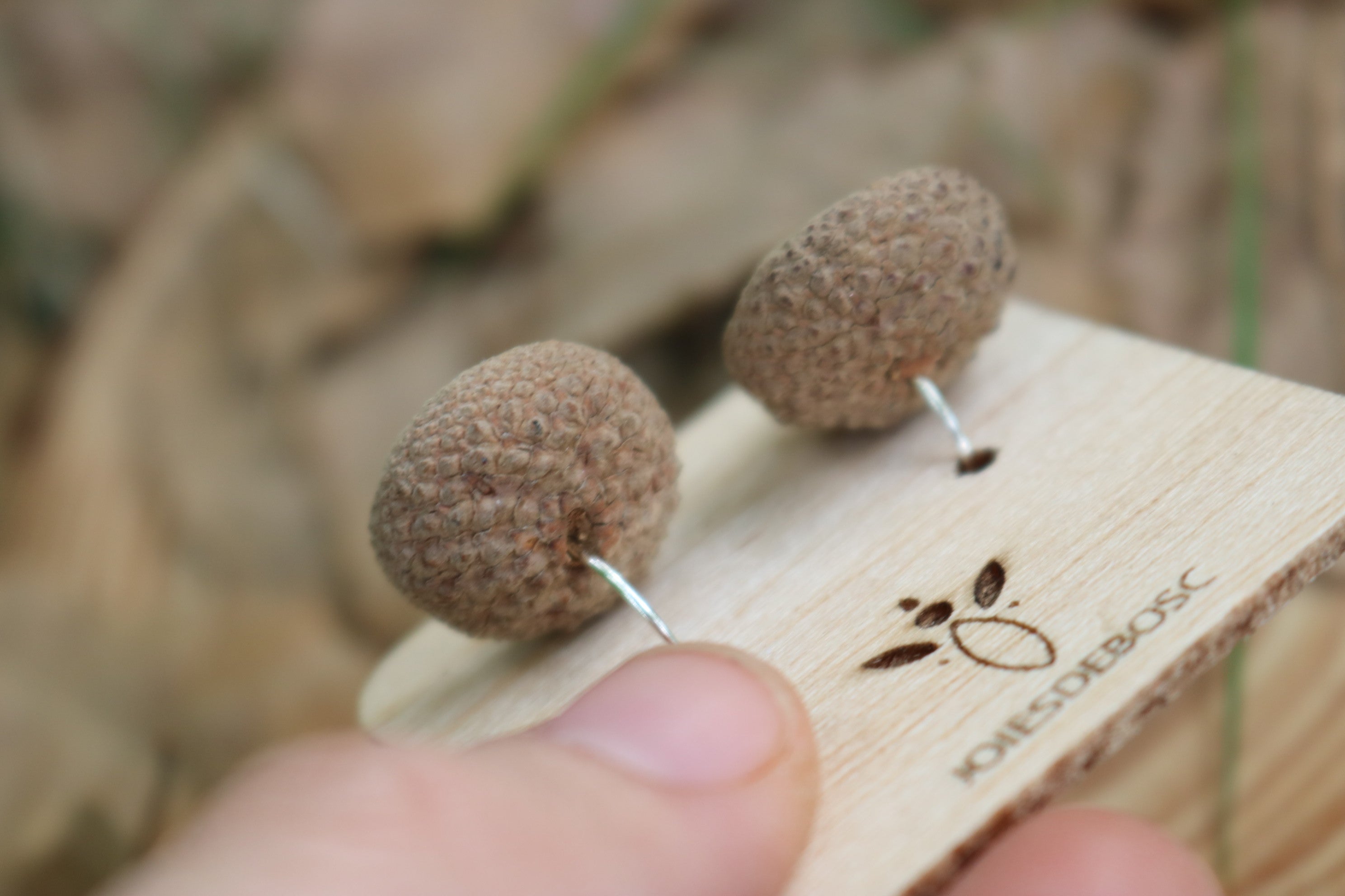 Pendientes de bellota · Fraga