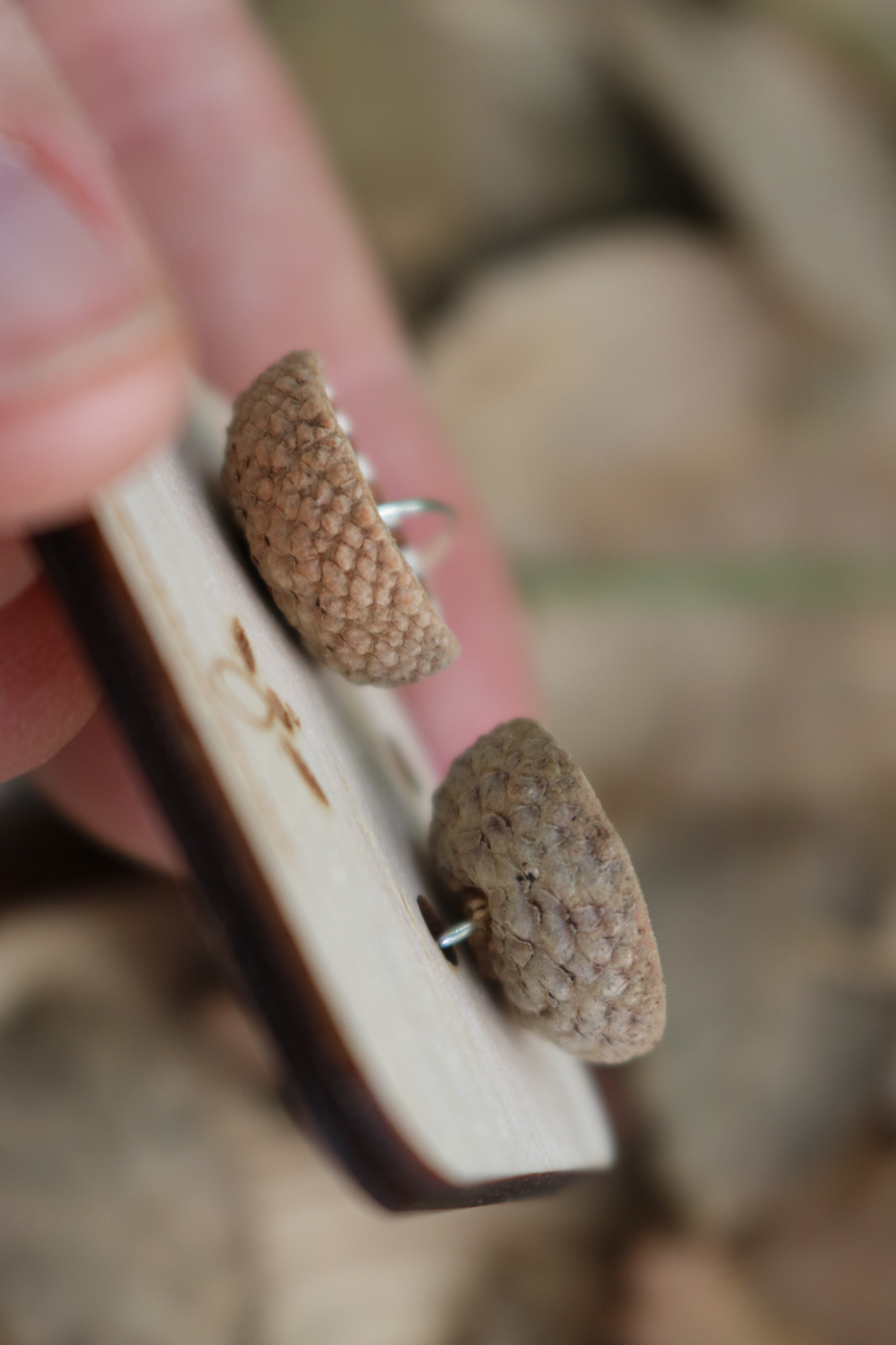 Pendientes de bellota · Terra