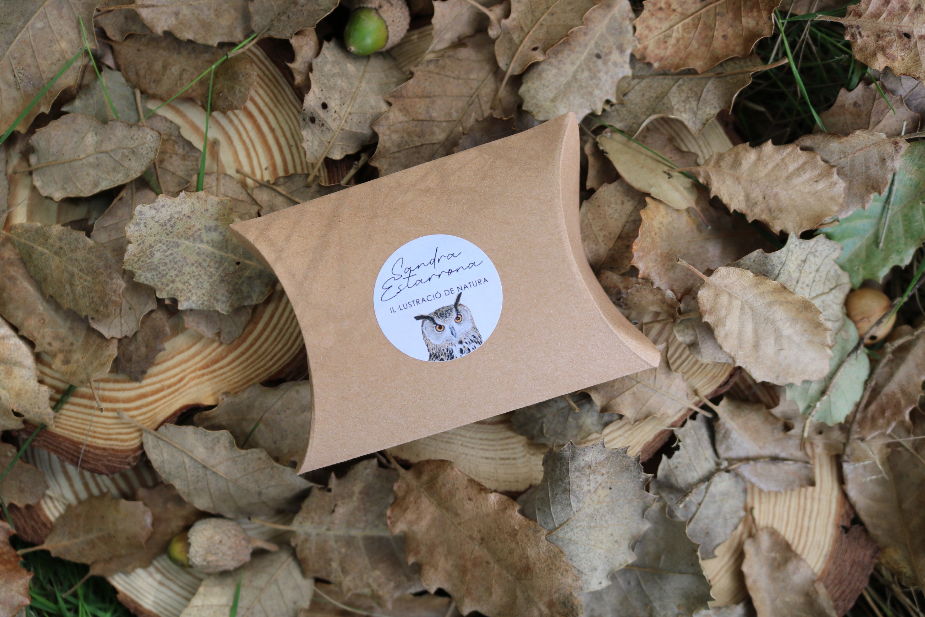 Pendientes de bellota · Latido