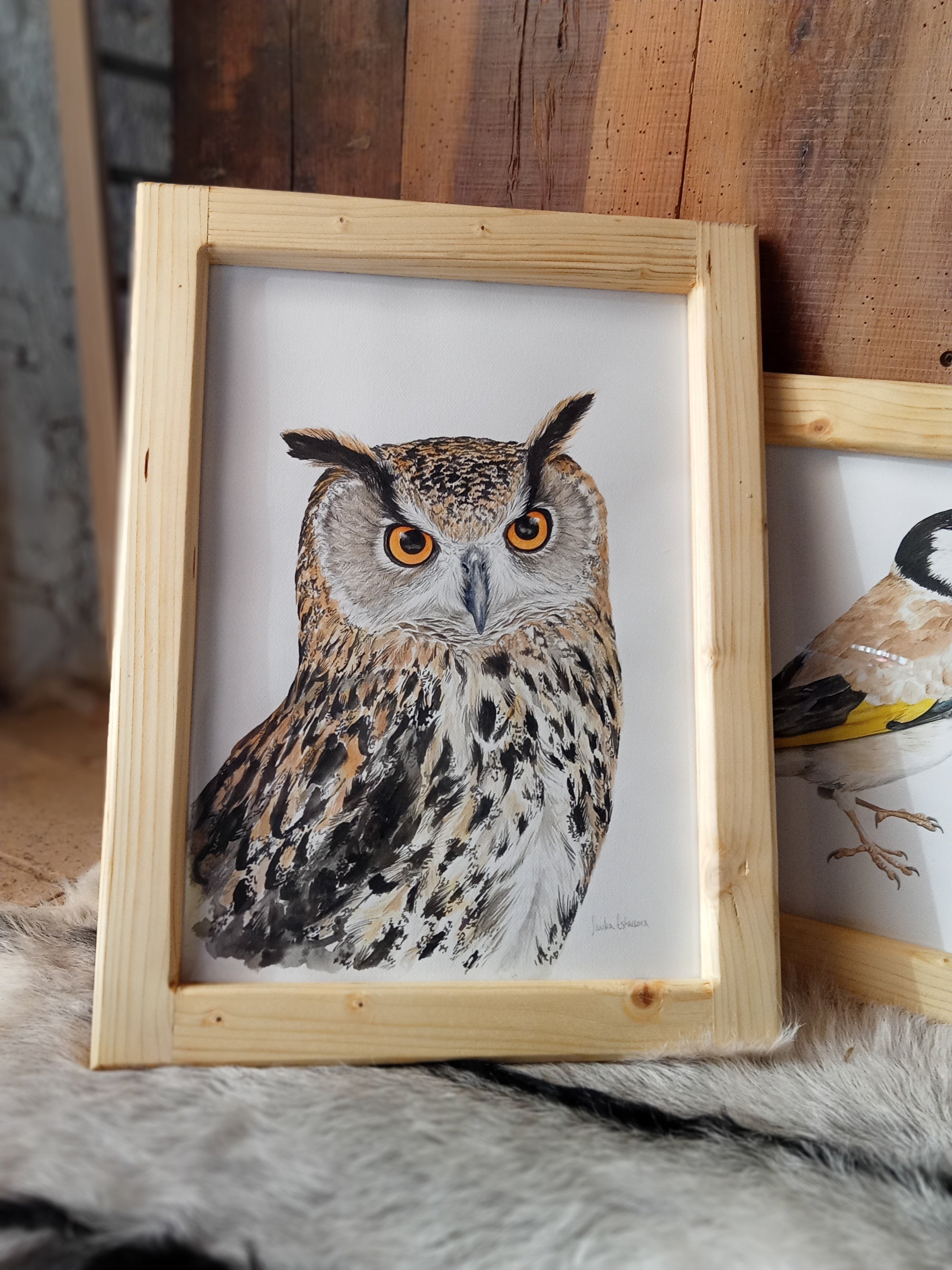 Ilustración original Buho real