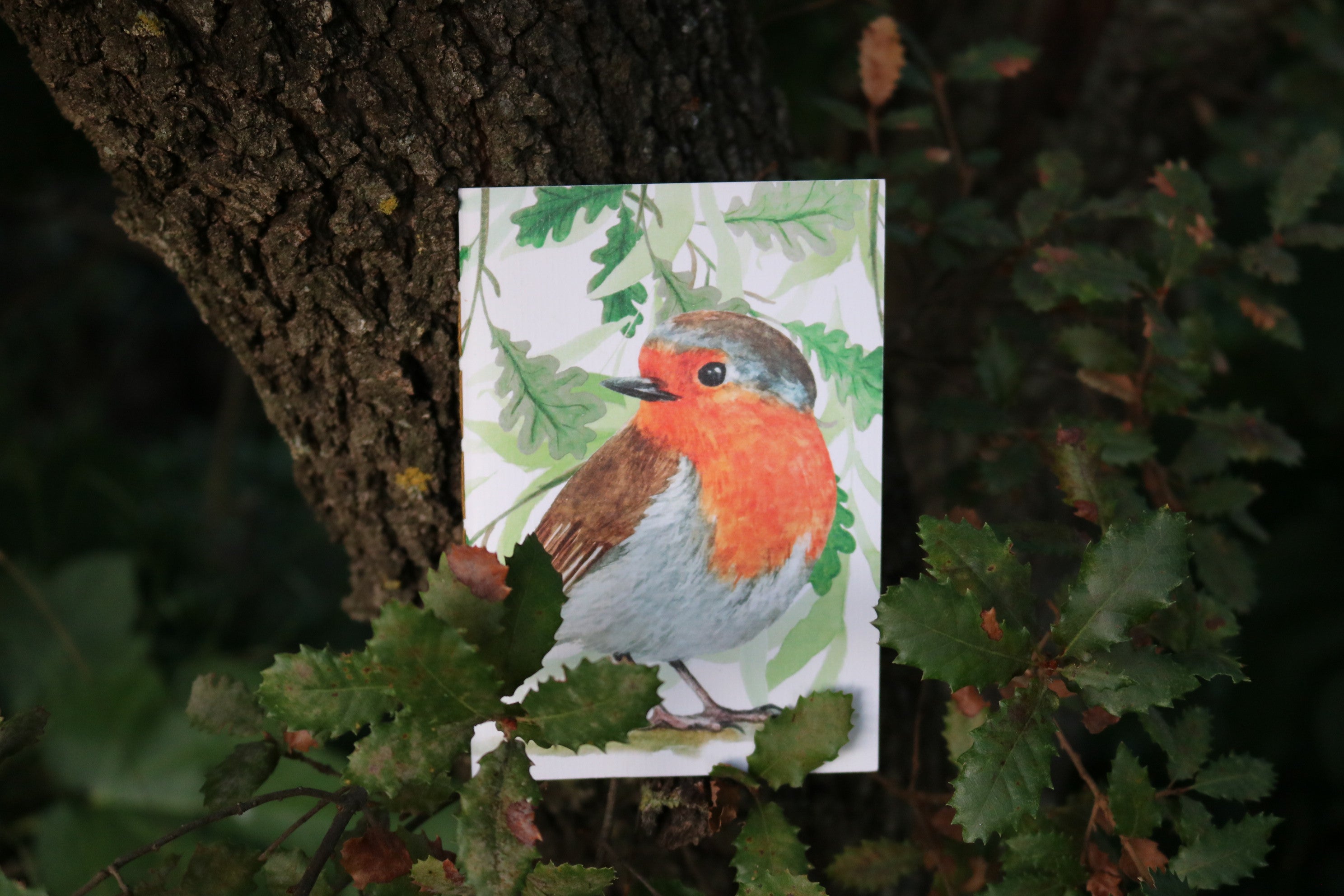 Libreta Txantxangorri