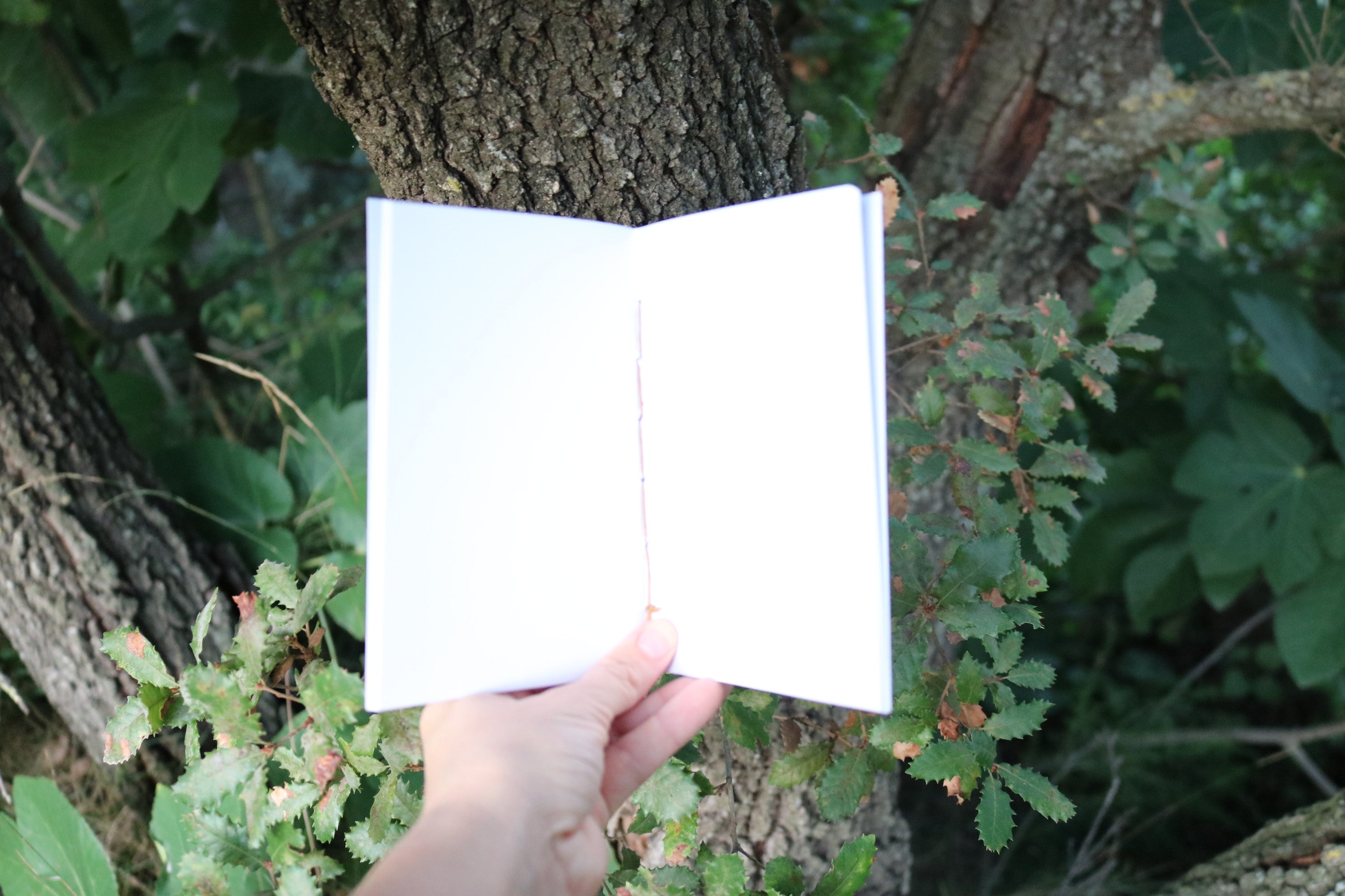 Libreta Txantxangorri