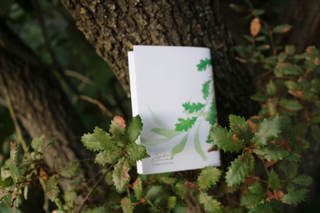 Libreta Txantxangorri