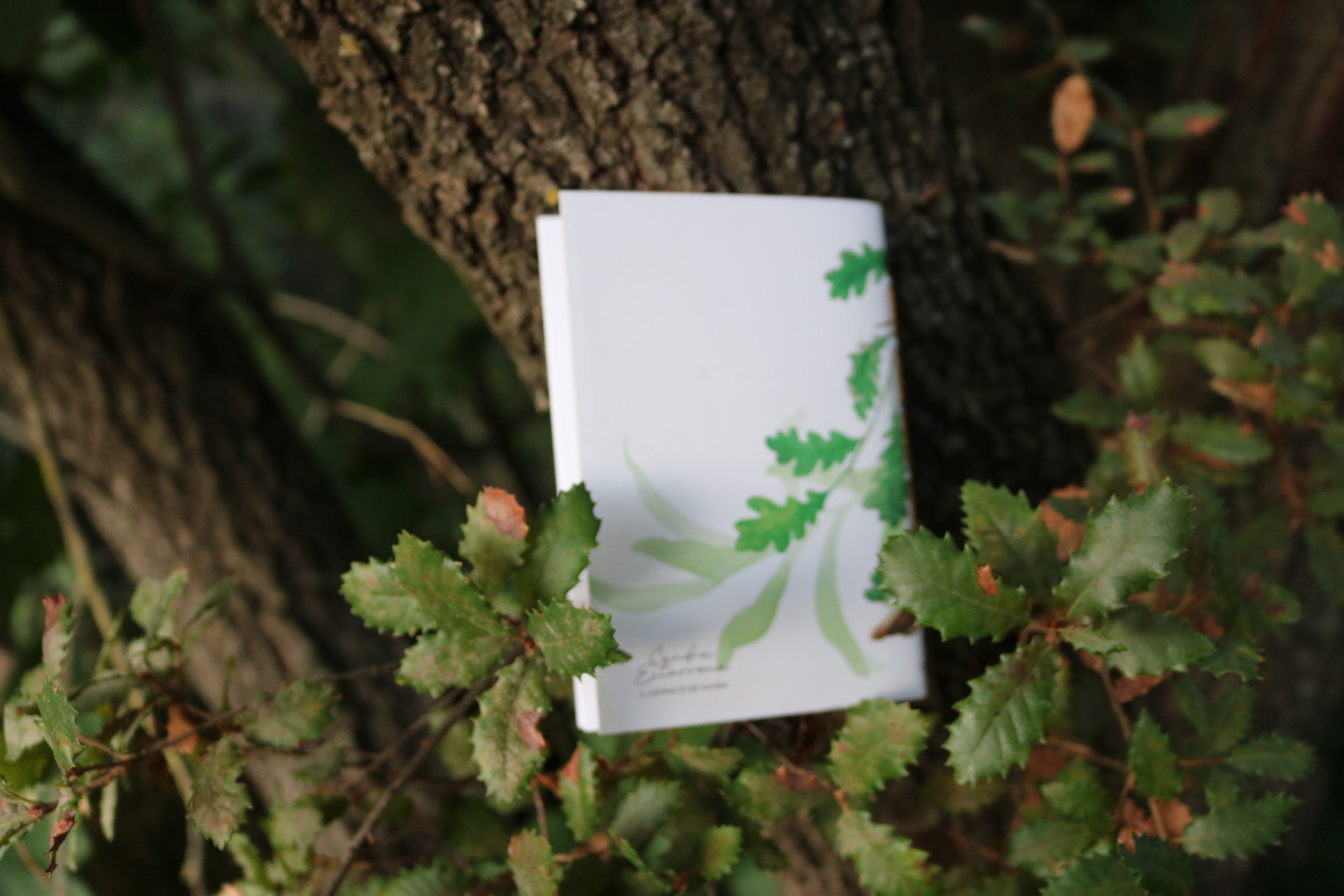 Libreta Txantxangorri