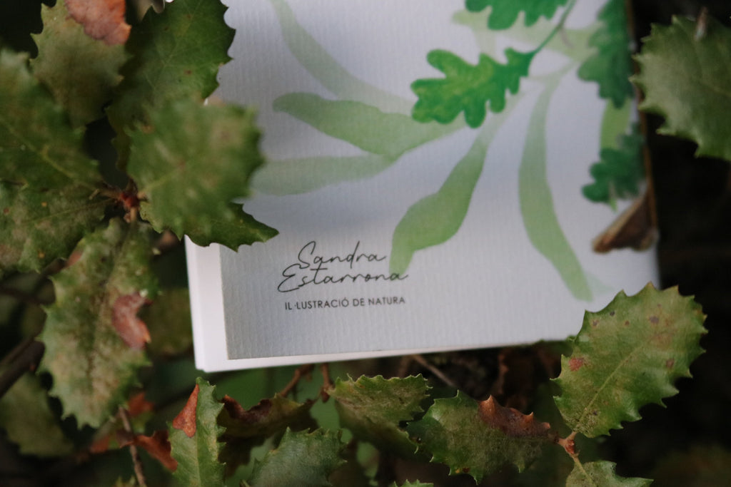 Libreta Txantxangorri