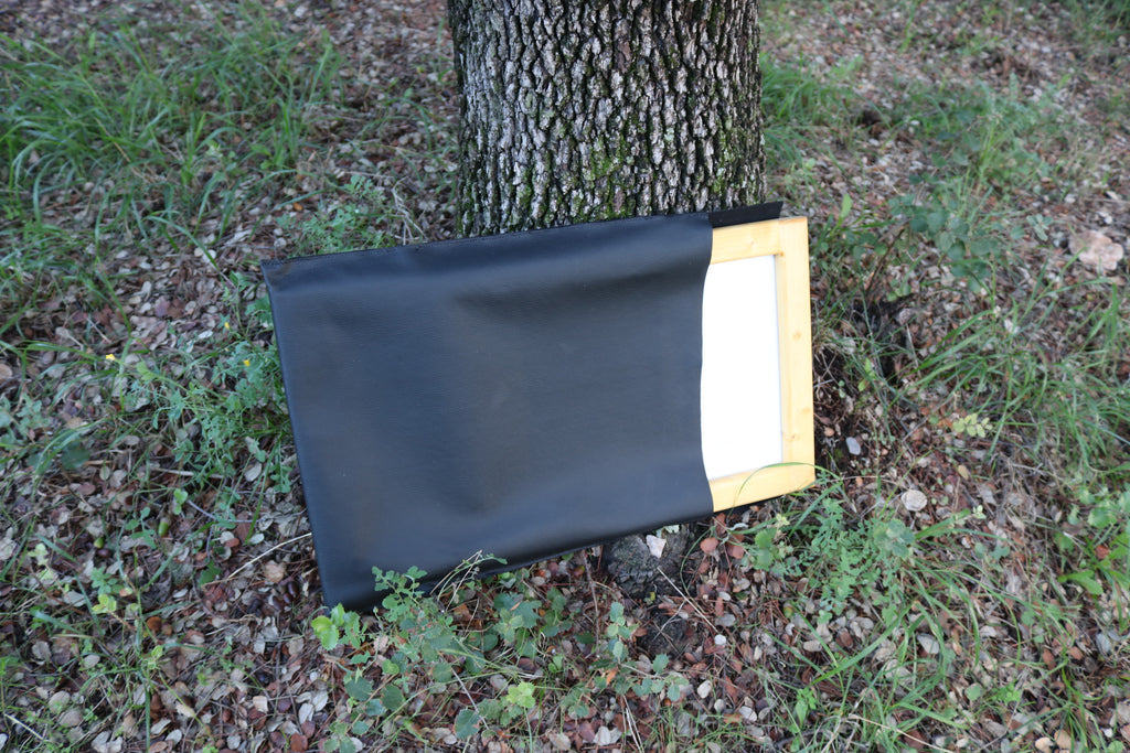 Ilustración original Martín pescador