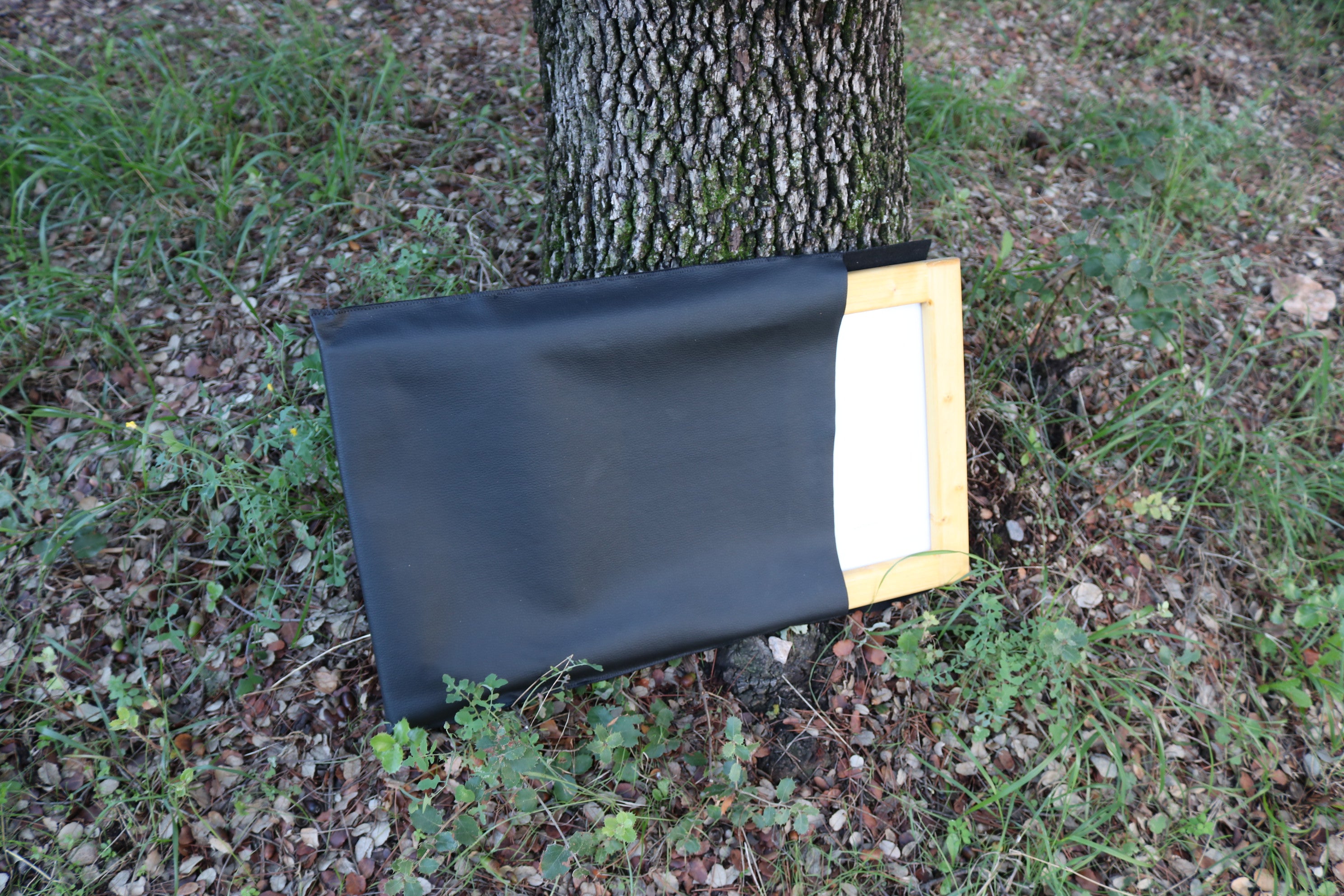 Ilustración original Martín pescador