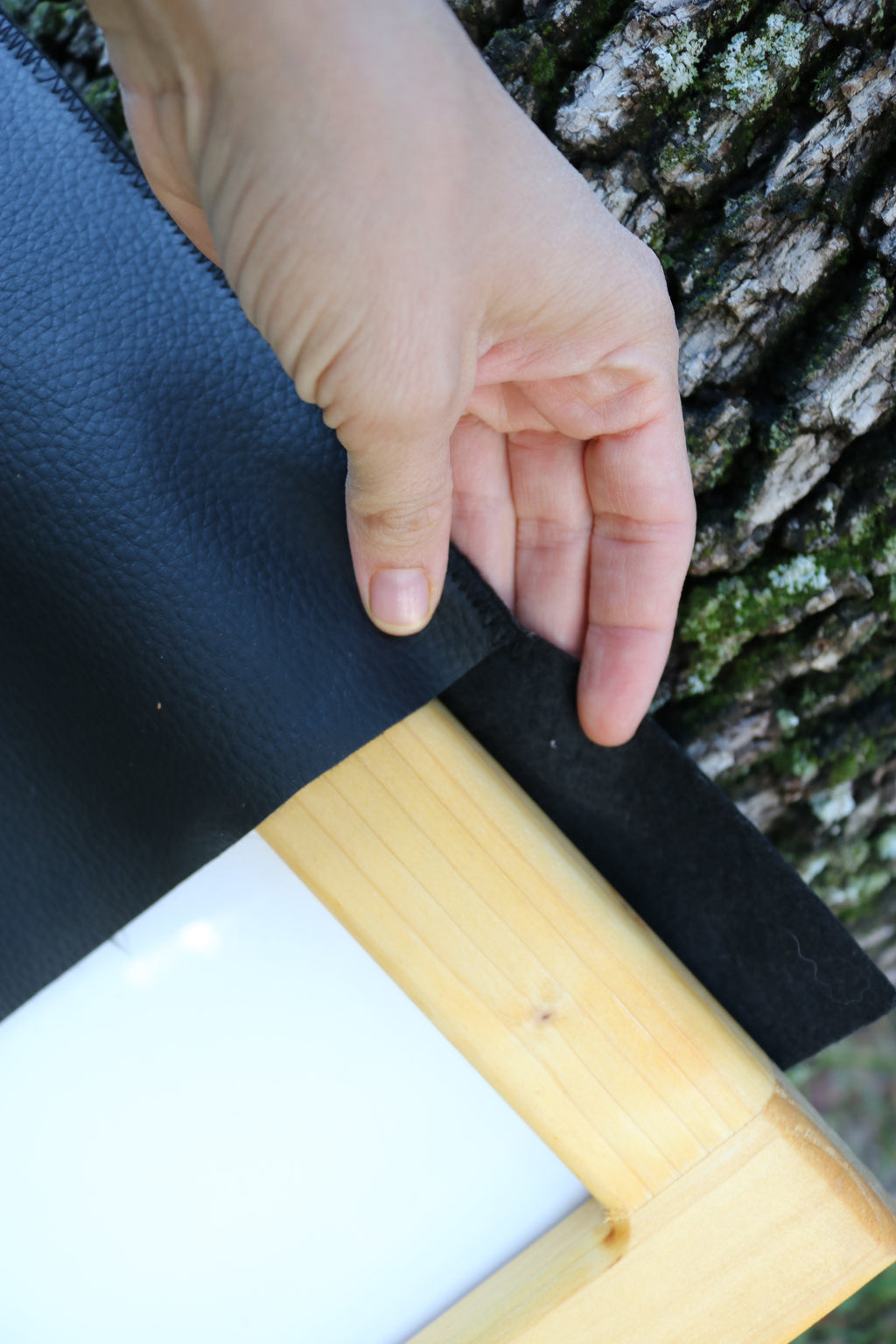 Ilustración original Martín pescador