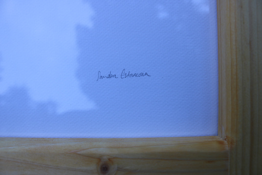 Ilustración original Martín pescador