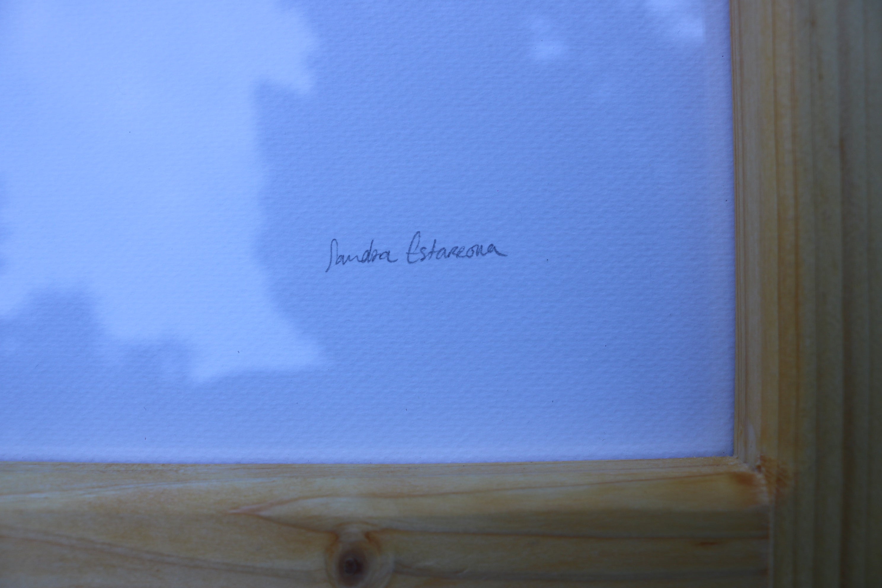 Ilustración original Martín pescador