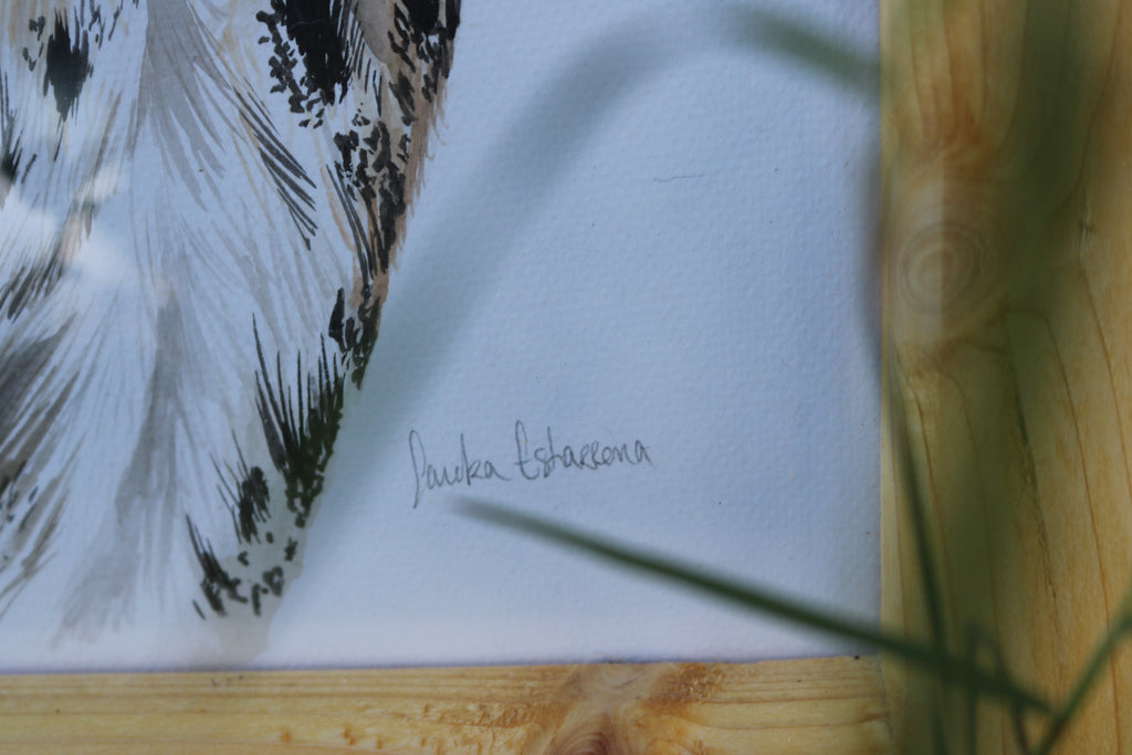 Ilustración original Buho real