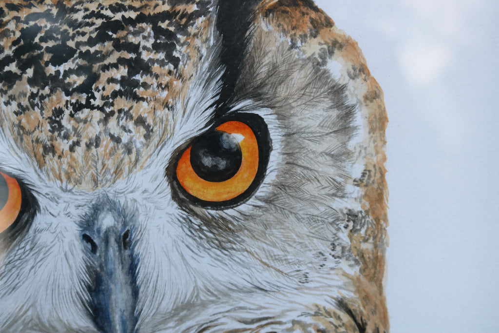 Ilustración original Buho real