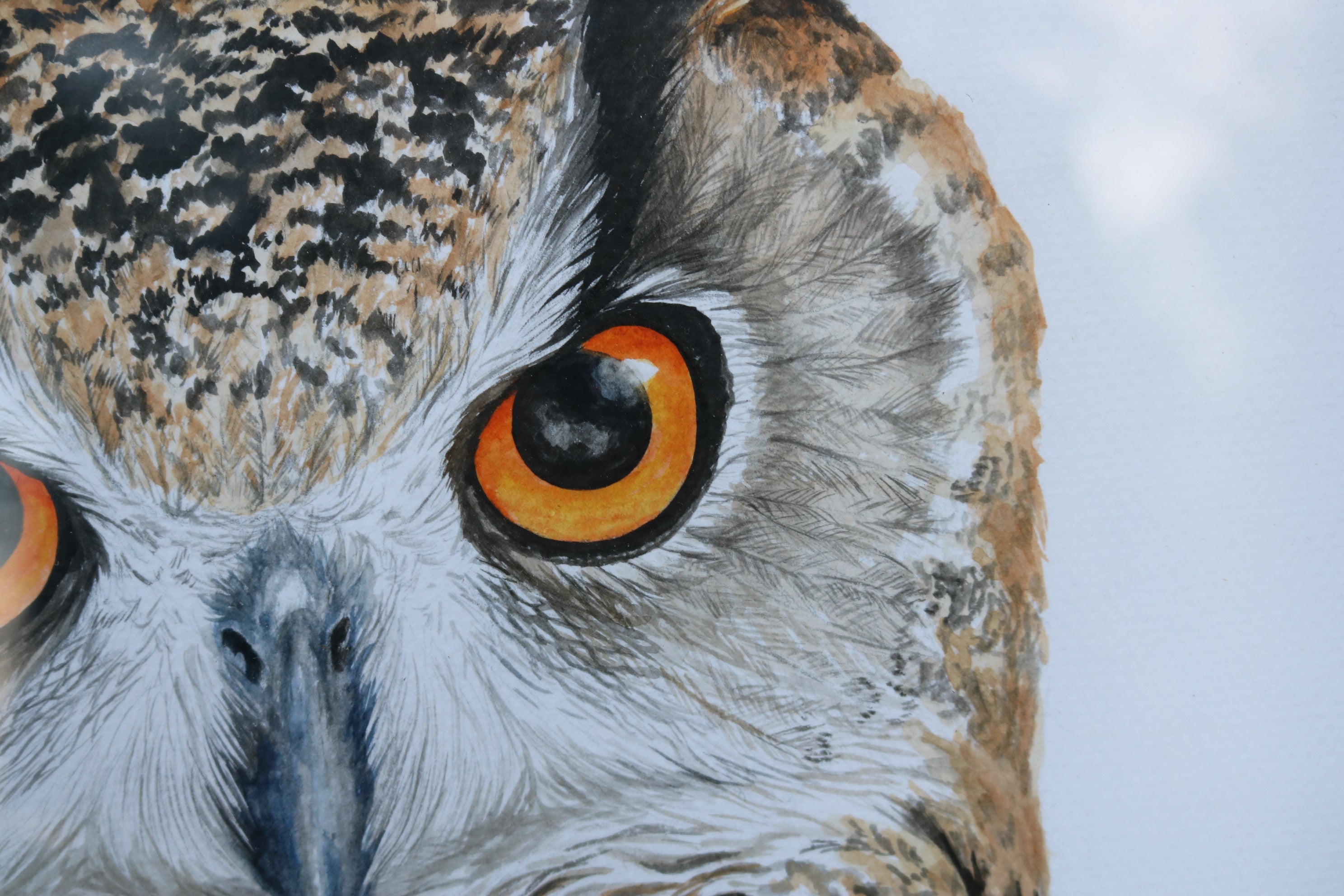 Ilustración original Buho real