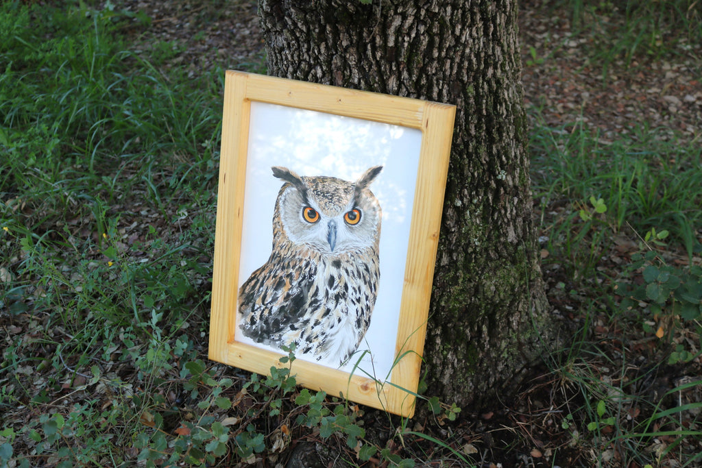 Ilustración original Buho real