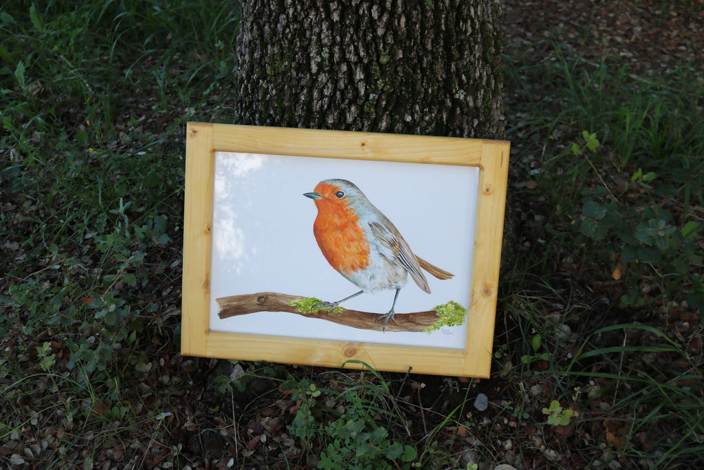 Ilustración original Txantxangorri