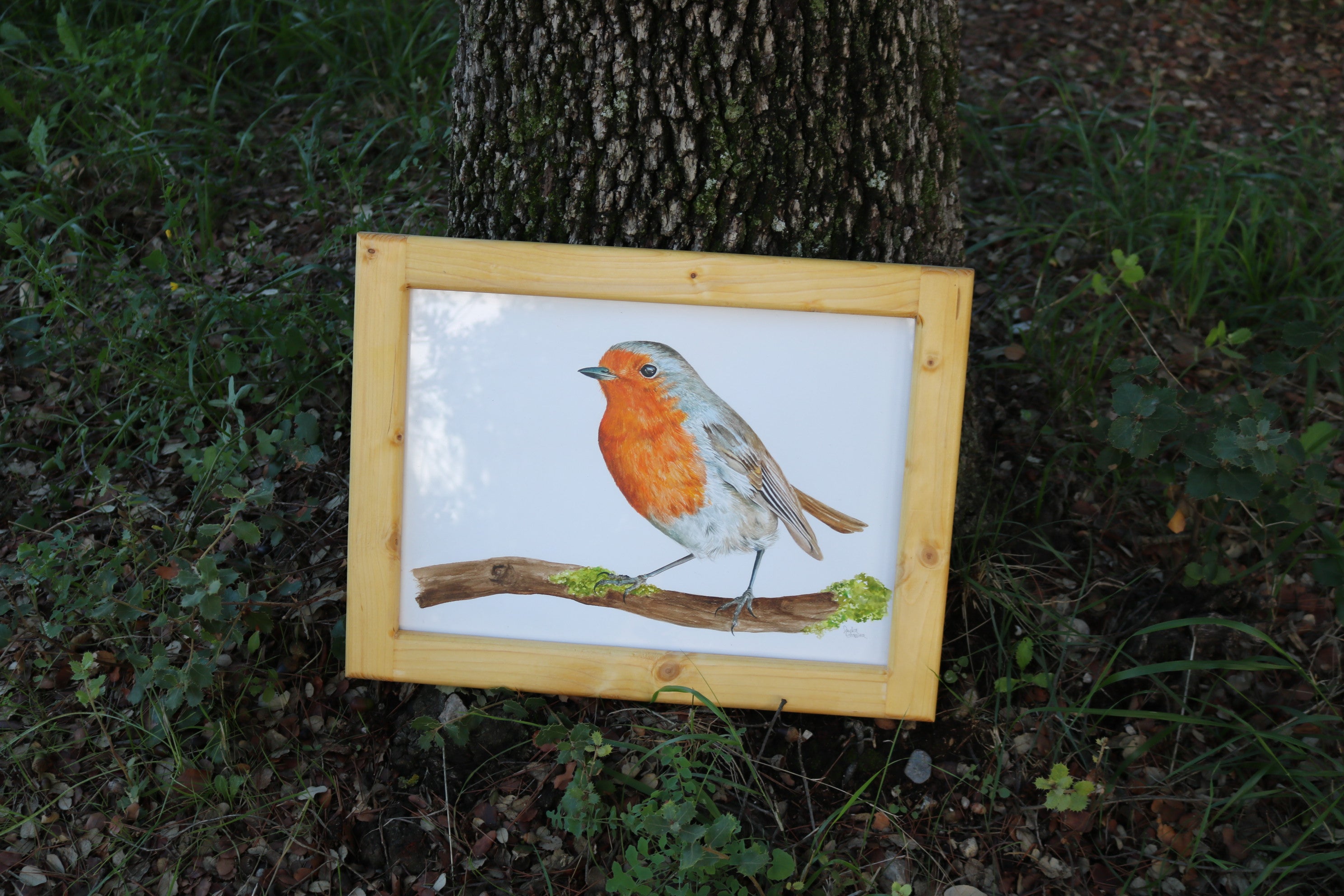 Ilustración original Txantxangorri