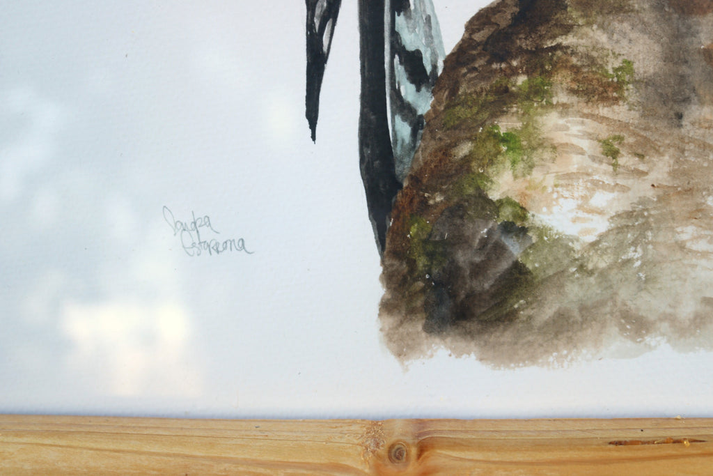 Ilustración original Pico picapinos