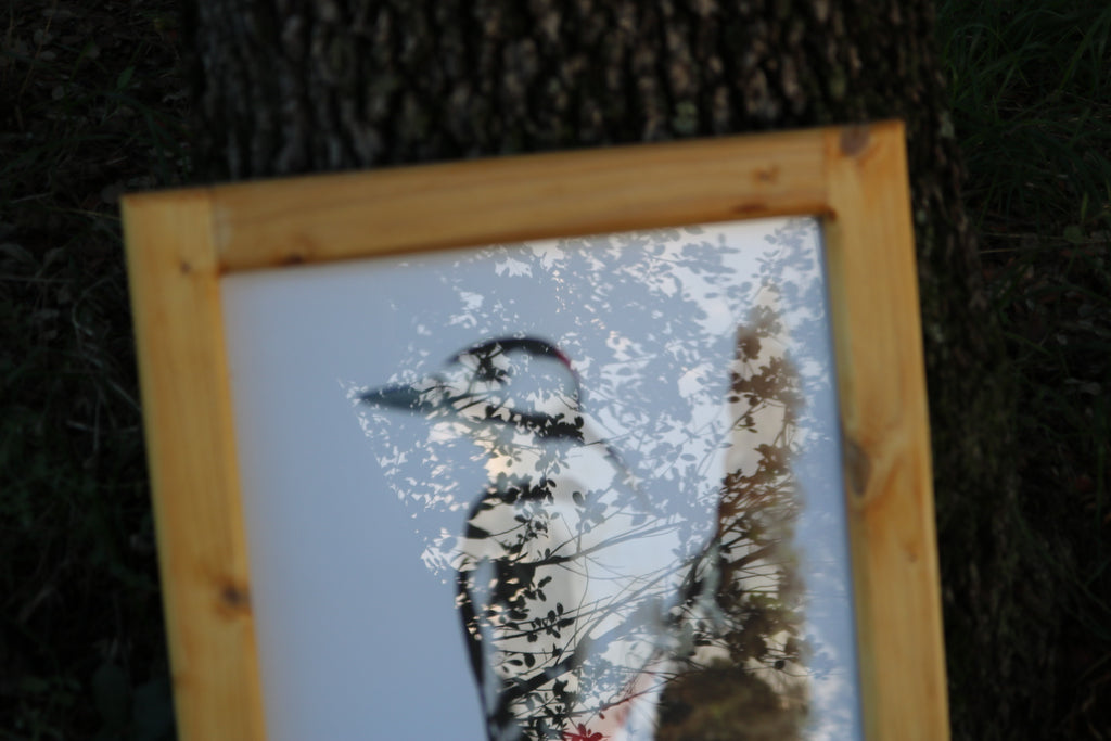 Ilustración original Pico picapinos