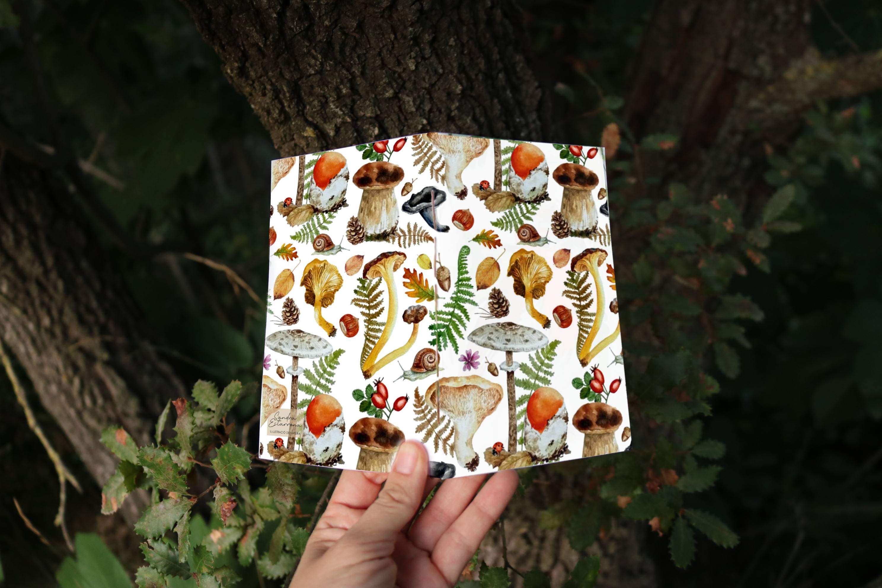 Libreta Setas del bosque