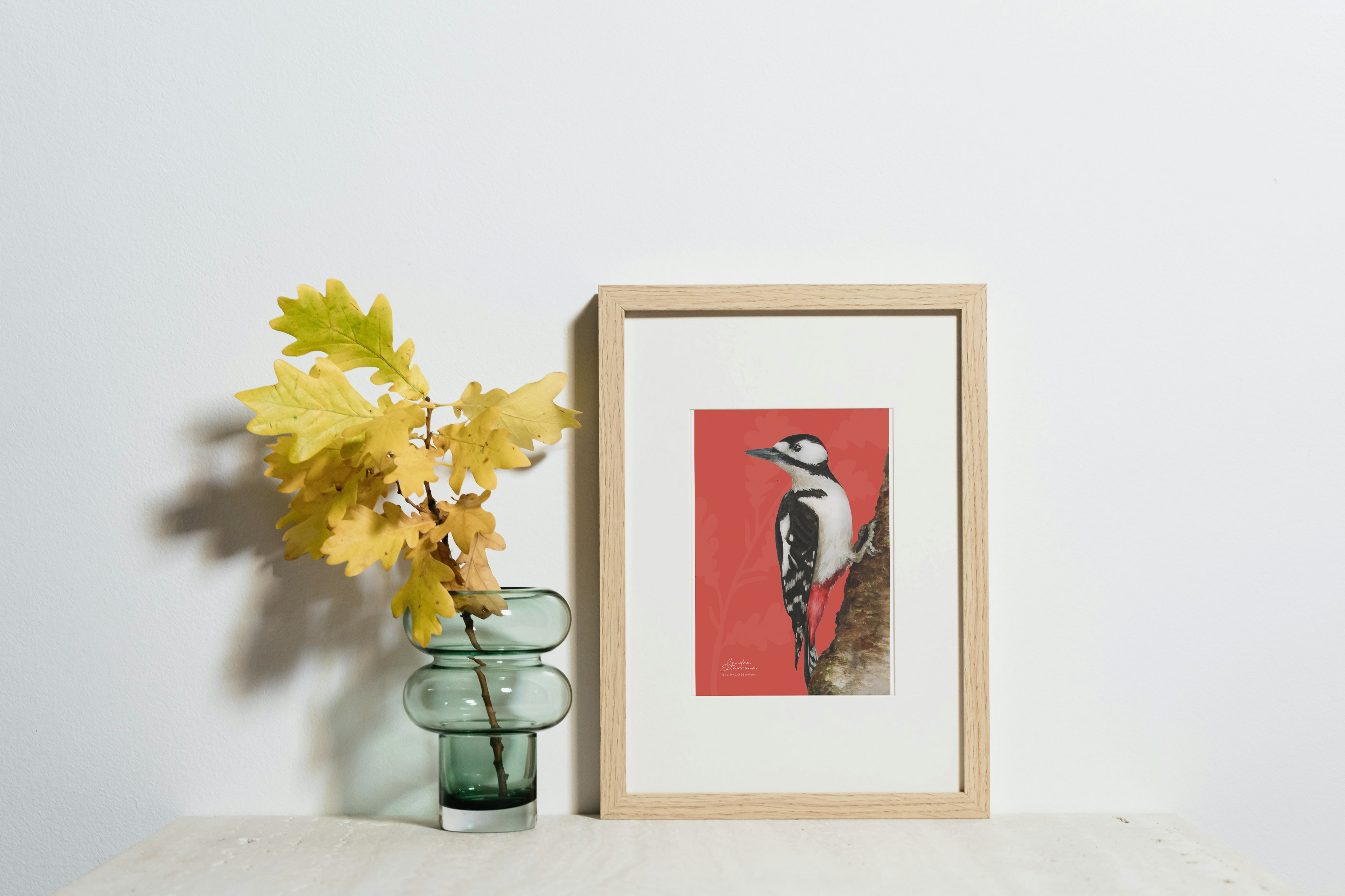 Lámina Pico picapinos A5