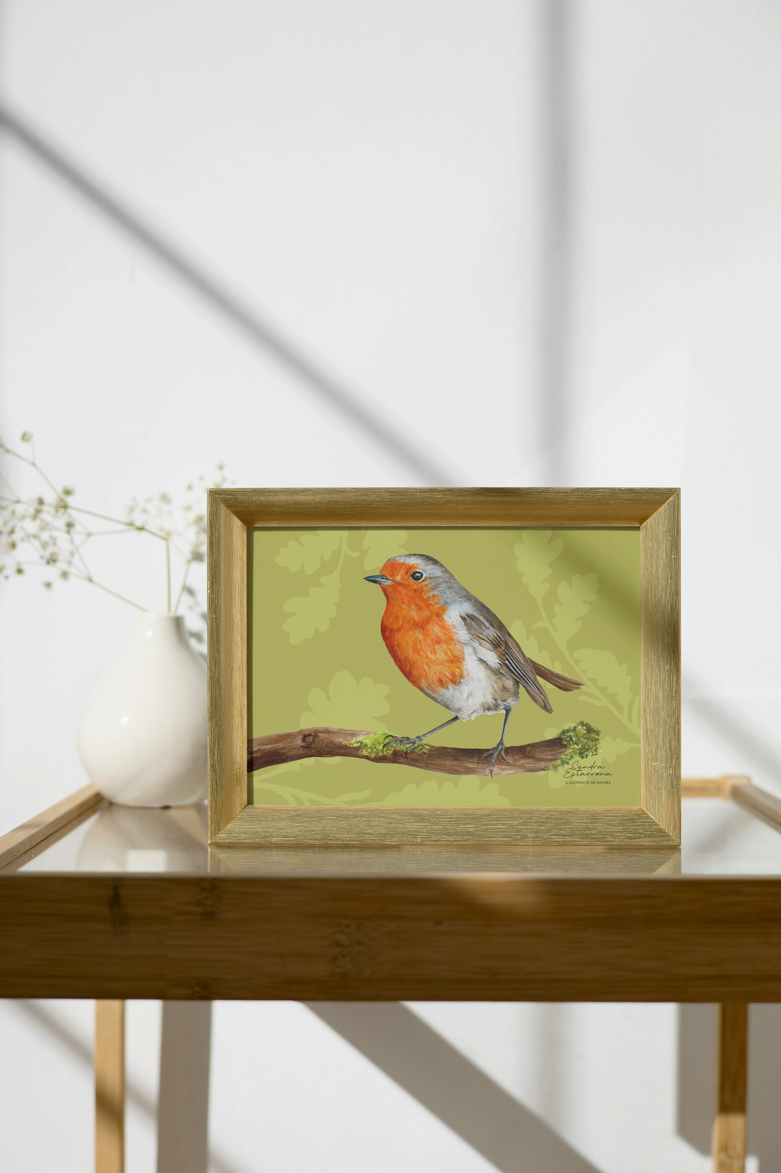 Lámina Petirrojo A5