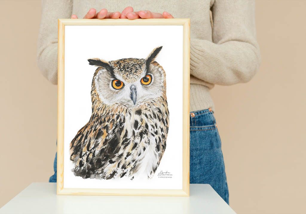 Lámina Buho real A4