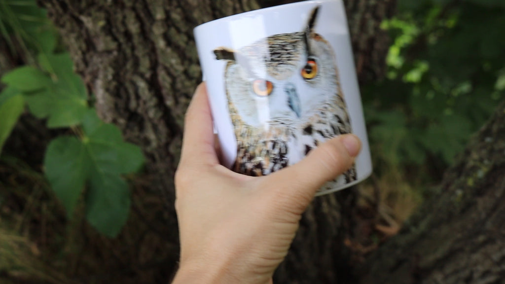 Taza Buho real