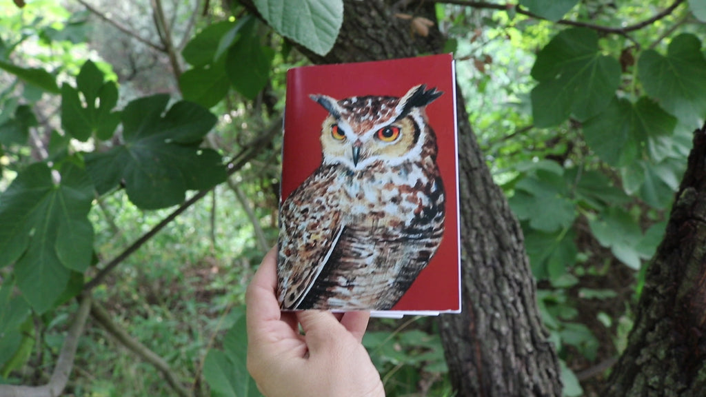 Libreta Buho real